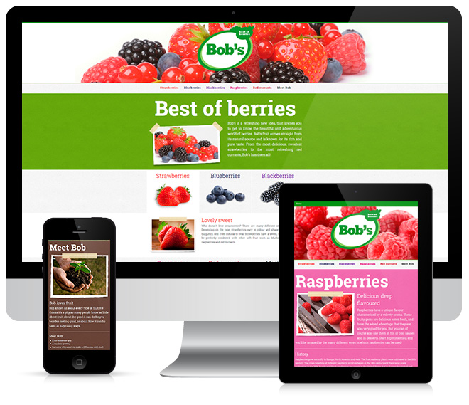 responsive-webdesign